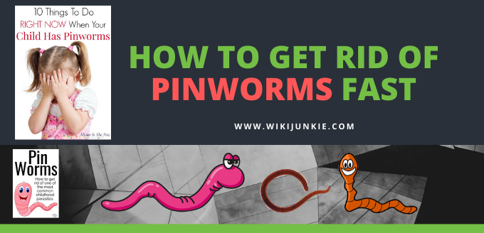 How to GET RID of Pinworms Fast