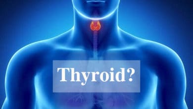 Natural Treatment to Stimulate the Thyroid ( An Easy Guide to Read )
